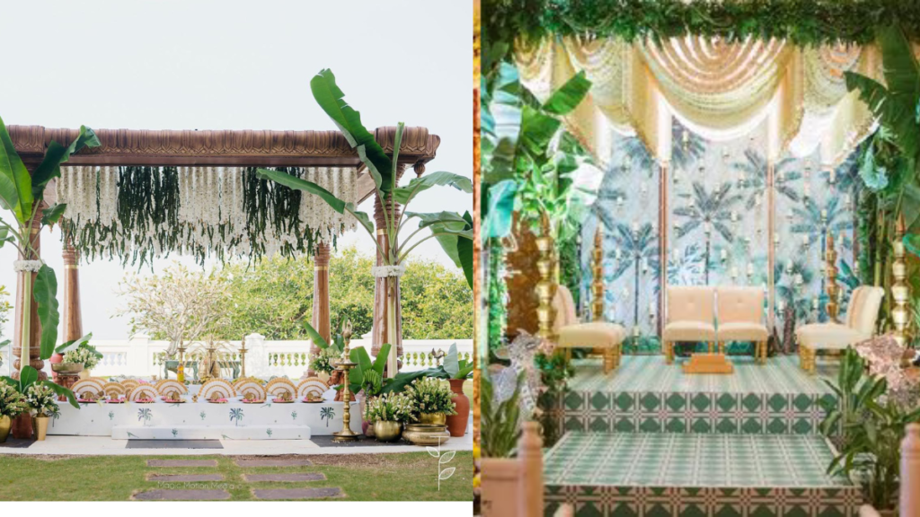 Alia Bhatt's Wedding :