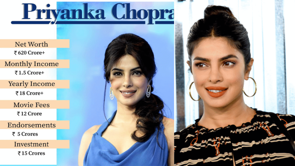 Net Worth Priyank Chopra