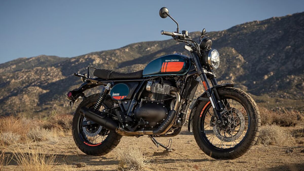Bear 650