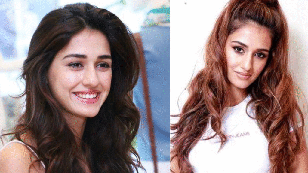 Disha Patani Net Worth