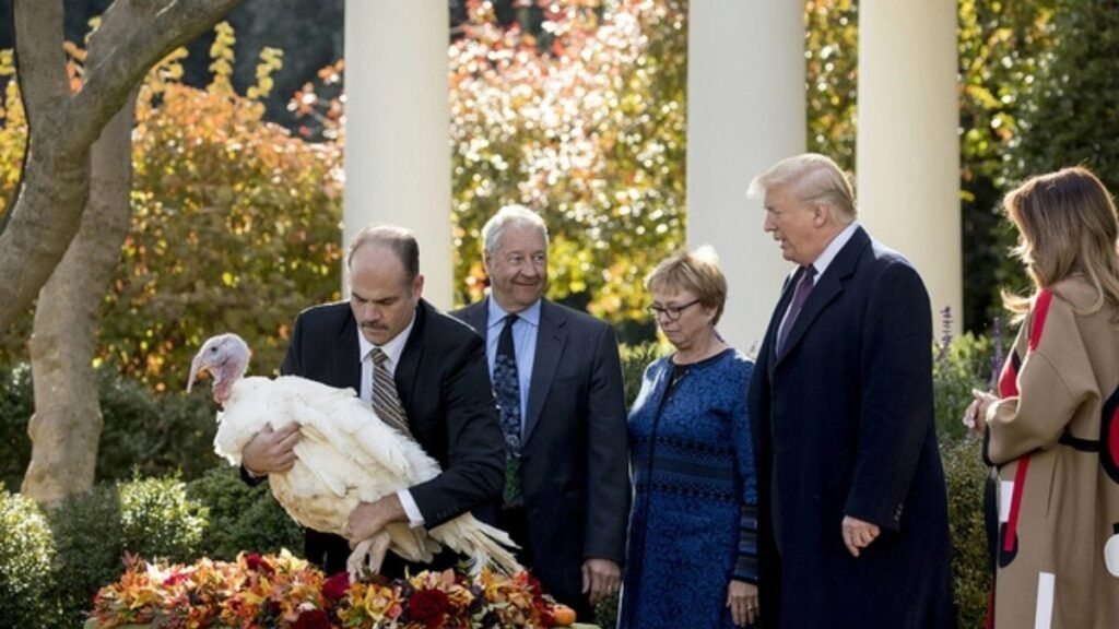 थैंक्सगिविंग 2025 में टर्की